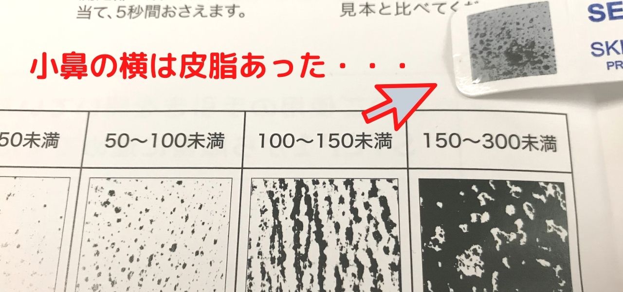 メディコル　スキンチェッカー　皮脂量